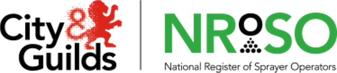 candg nroso logo