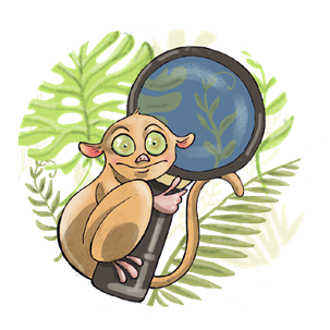 kahibalo foundation logo