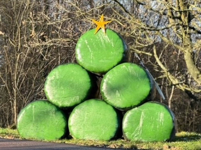 Wrapped round bales stacked in the shape of a Christmas tree